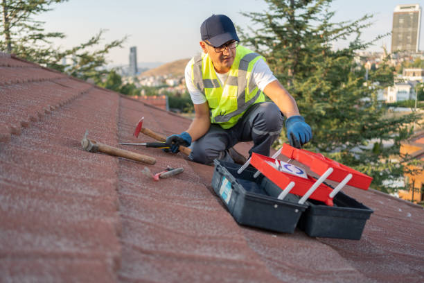 Best Fascia and Soffit Installation  in Victoria, VA